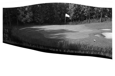 002SC-SPORTS.png 002SC-SPORTS - Image 1
