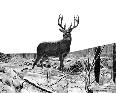 007ST-DEER.png 007ST-DEER - Image 1