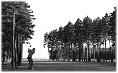 008SC-SPORTS.png 008SC-SPORTS - Image 1
