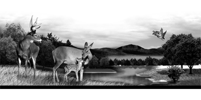009SC-DEER.png 009SC-DEER - Image 1