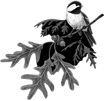 010ST-BIRDS.png 010ST-BIRDS - Image 1
