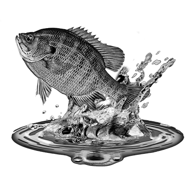 019ST-FISH.png 019ST-FISH - Image 1