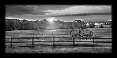 096SC-FARM.png 096SC-FARM - Image 1