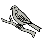 ANI004.png ANI004 - Image 1