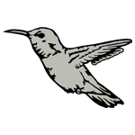 ANI055.png ANI055 - Image 1