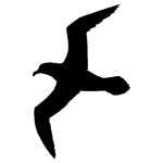 ANI068.png ANI068 - Image 1