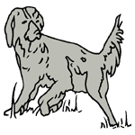 ANI105.png ANI105 - Image 1