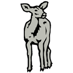 ANI175.png ANI175 - Image 1