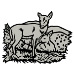 ANI179.png ANI179 - Image 1