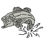 ANI198.png ANI198 - Image 1