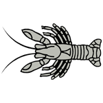ANI206.png ANI206 - Image 1