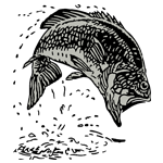 ANI207.png ANI207 - Image 1
