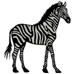 ANI221.png ANI221 - Image 1