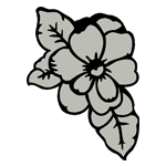 FLOR67.png FLOR67 - Image 1