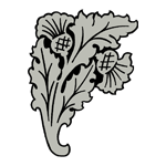 FLOR75.png FLOR75 - Image 1