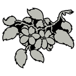 FLOR84.png FLOR84 - Image 1